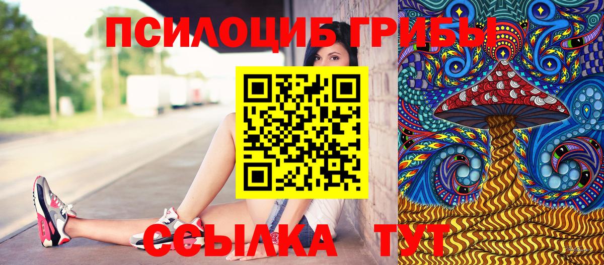 Галлюциногенные грибы прущие грибы  Вход с VPN  Вичуга  Псилоцибиновые грибы прущие грибы 