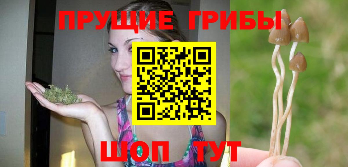Галлюциногенные грибы Magic Shrooms Вичуга